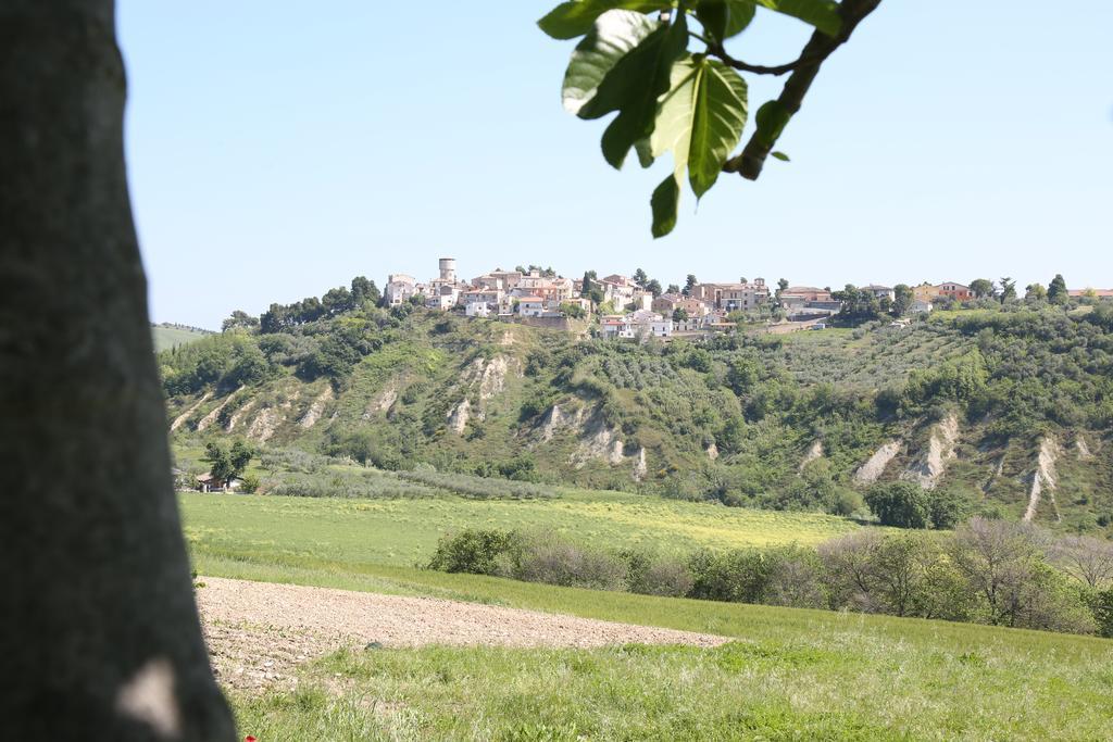 La Locanda Del Picchio Country House Morro dʼOro Kültér fotó